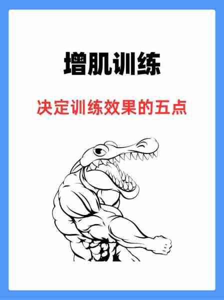 增肌运动推荐动作（增肌运动推荐动作有哪些）