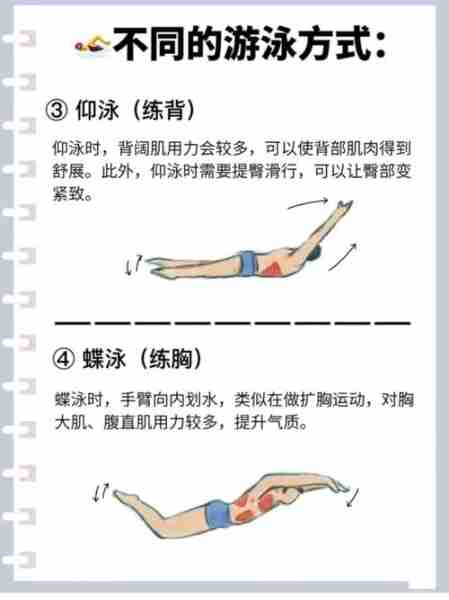游泳减肥方法高效-游泳减脂肪的最佳运动方法