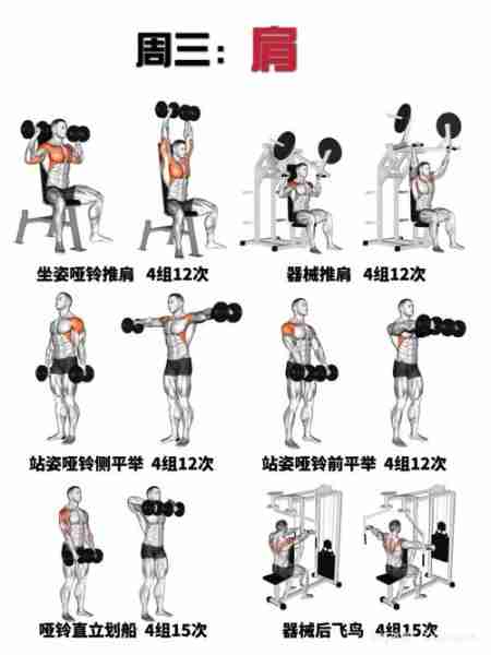 力量训练入门教程-力量训练12个动作图解