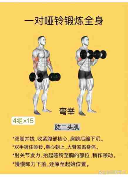 杠铃训练动作教程-杠铃训练动作教程视频